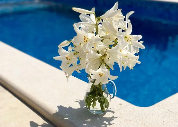 Apartmán Paradise *