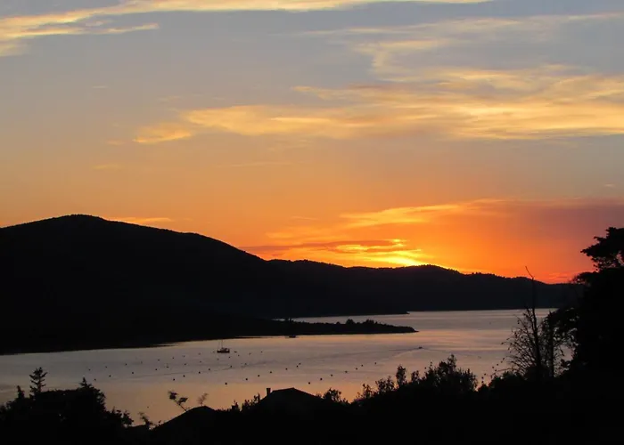 Paradise * Brbinj